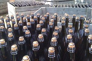 Cider bottles
