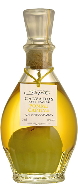 Bottle Domaine Dupont Pomme Captive