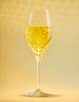Cidre Cuvée Colette als Aperitif