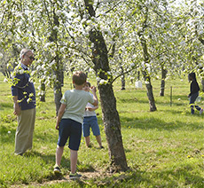 Easter in the orchard 