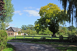 Domaine Dupont Domaine Dupont