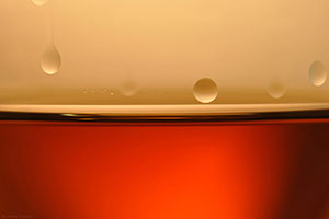 Calvados glass Calvados glass