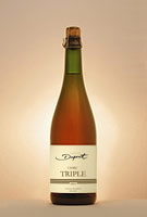 Bouteille Cidre Triple