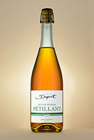 Bouteille Jus de Pomme Pétillant